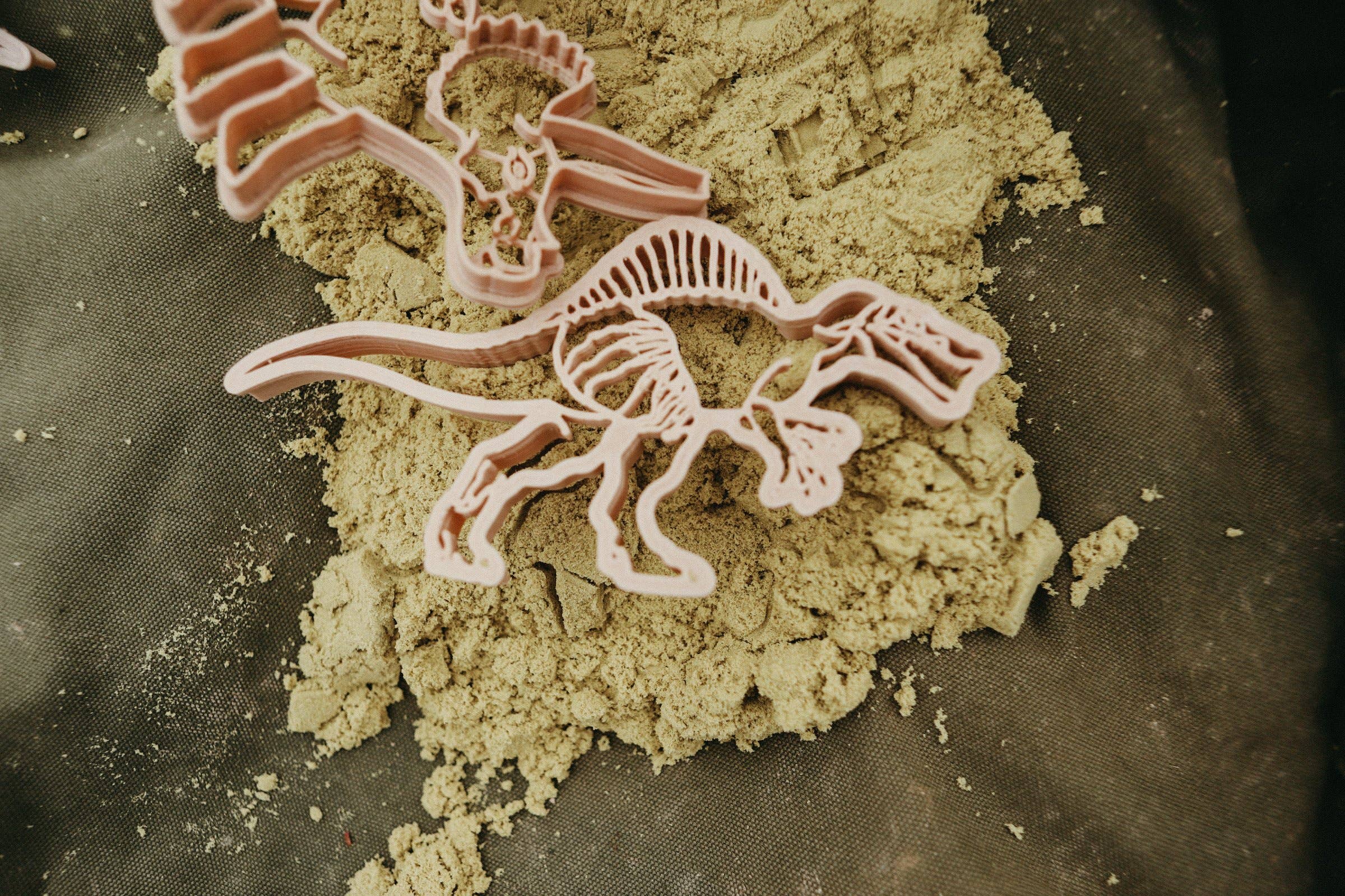 Kinfolk Pantry - Wholesale Toy Set - Kids - Spinosaurus Cutter - Dinosaur Eco Playdough Tool4