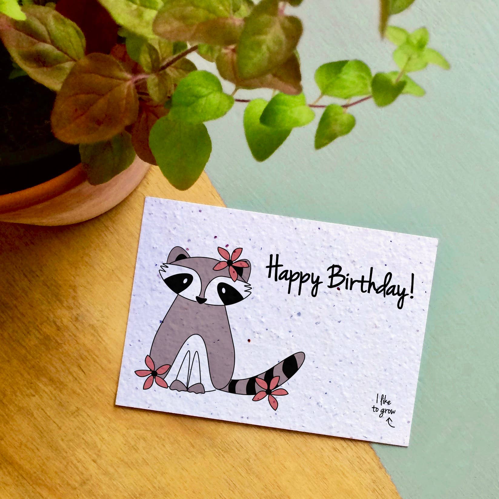 BLOOM your message - Vendita all'ingrosso Semi di piante - Set di 60 cartoline piantabili con semi di fiori selvatici2