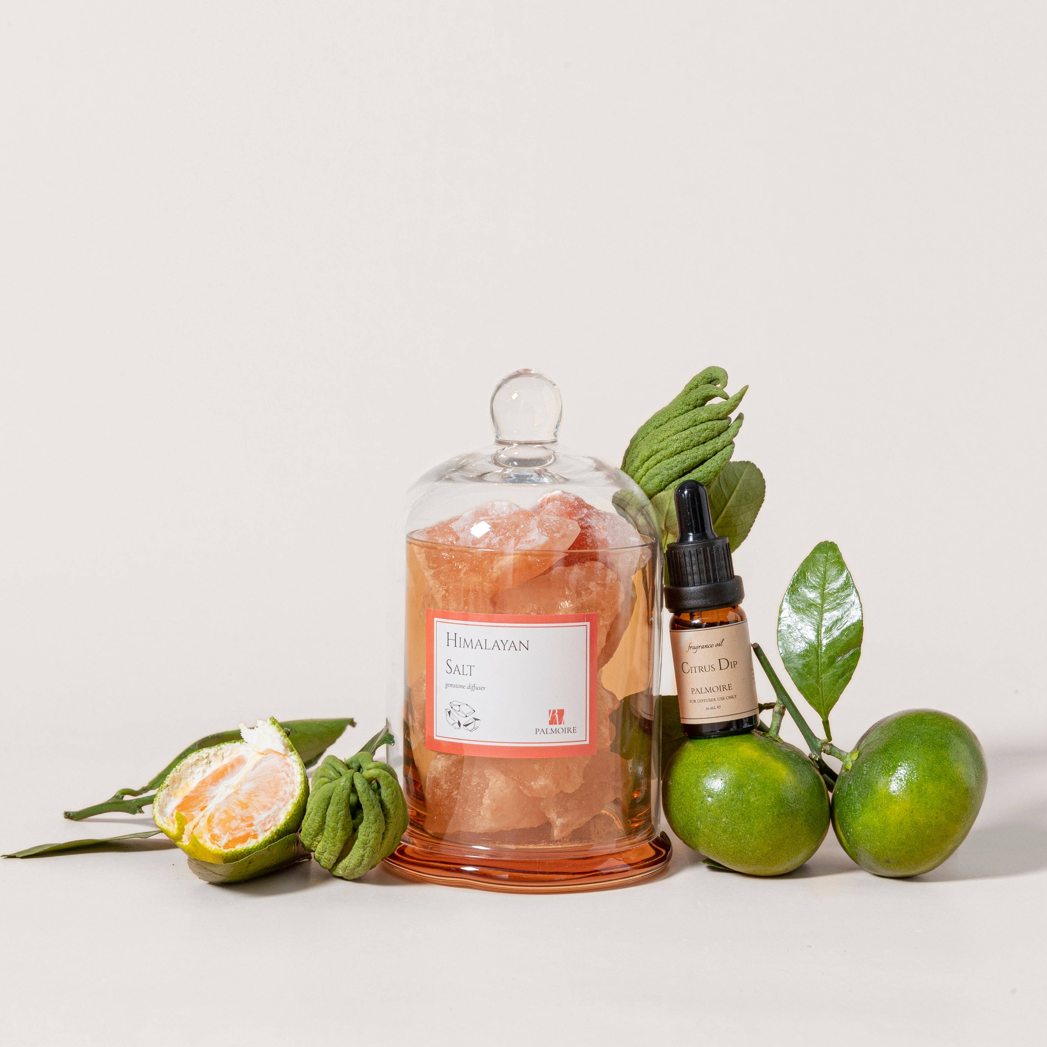 Palmoire Home Fragrance – wholesale Doftpinnar – Himalayasalt sten diffuser med citrus/jasmin doft