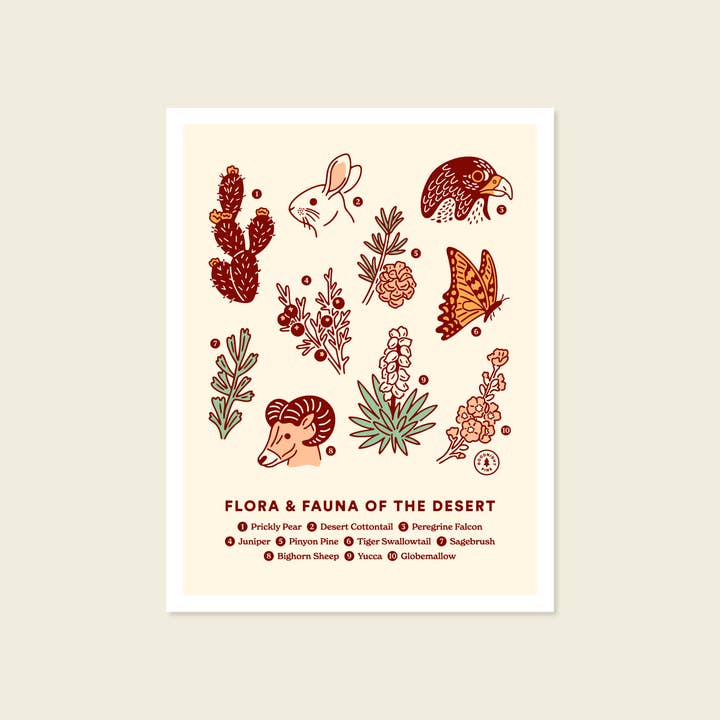 Desert Flora & Fauna Chart Print for wholesale by Goodnight Pine