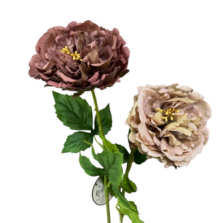 25” Fall Edition – Real Touch Moisturized Coating Peony Stem for wholesale by Angel Isabella
