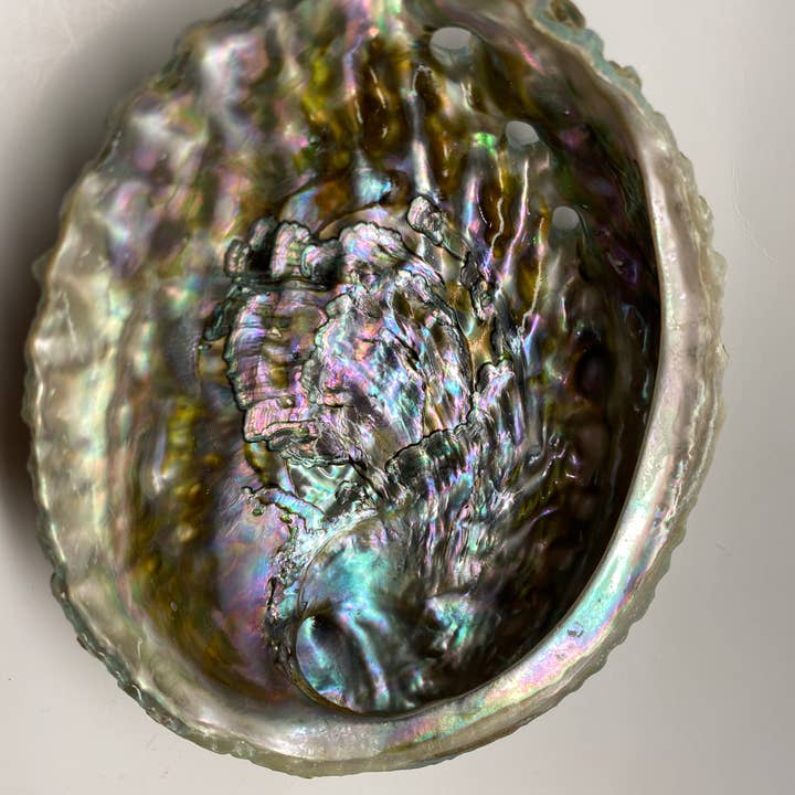 Espoir & Amour - Wholesale Smudge Plate - Abalone Shell for Smudging | Smudge Bowl Abalone Shells | 5-