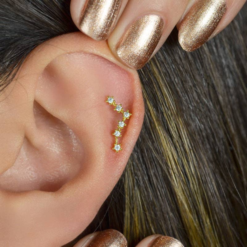 StockJWL - Wholesale Stud/Post Earrings - 12 Zodiac Earrings, Constellation Stud Earring Stud Piercing Tragus Helix Lobe and Cartilage Silver And Gold67