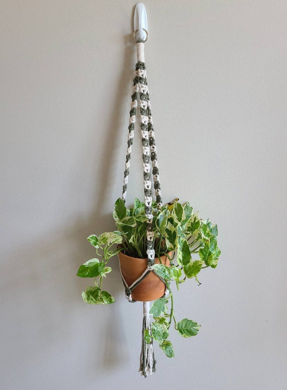 Macramé Mouse - Wholesale Hanging Planter - The Alt. Plant Hanger (Two Tone) - Center Hang Plant Hanger