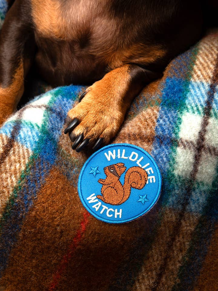 Wildlife Watch iron-on patch for dogs and cats for wholesale by Scout's Honour Pty Ltd