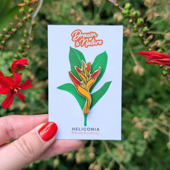 Emblema de Flor Tropical Heliconia Pin por atacado de Drawn to Nature