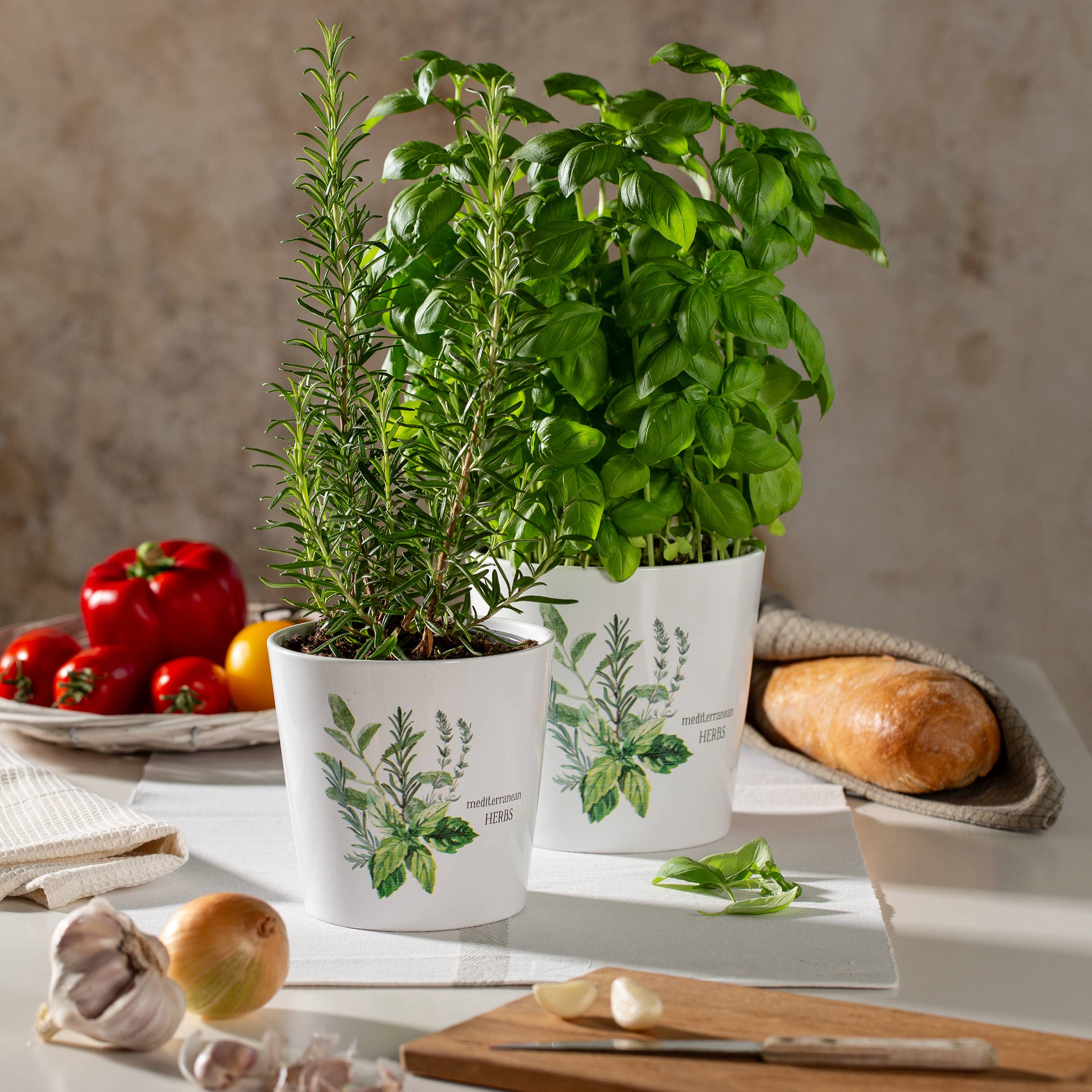 Mediterranean Flower pot/Planter 778 made of ceramic for wholesale on Faire3