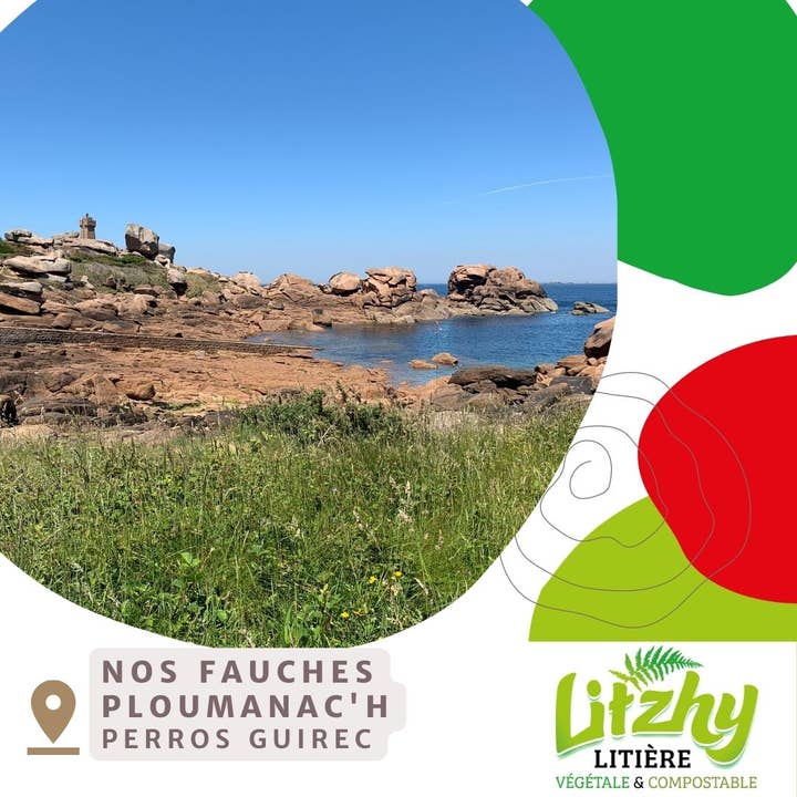 eizhy - Wholesale Cat Litter - Litzhy Landes: Vegetable litter - Landes Bretonnes4