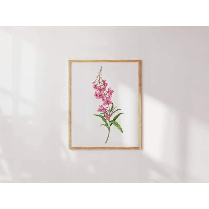 Impressão de Arte Botânica Fogo por atacado de Anna Farba Illustration