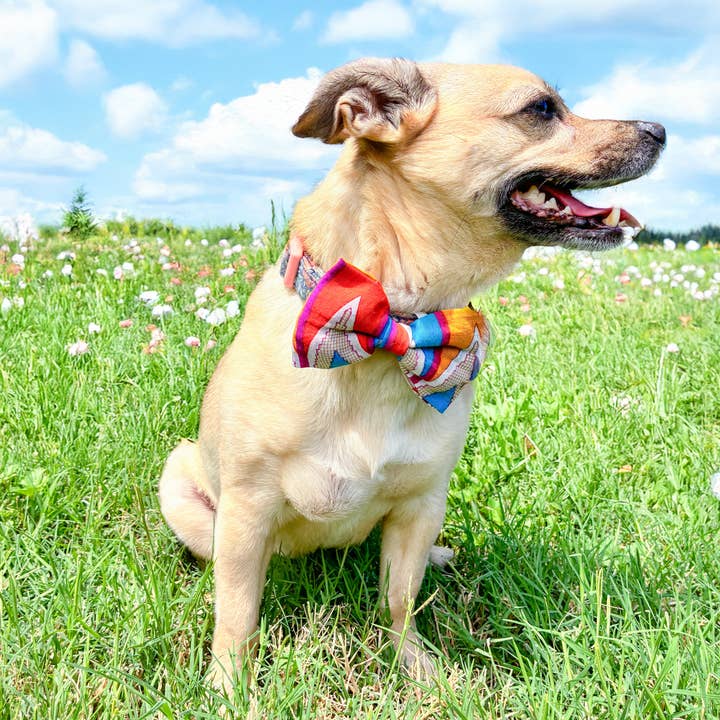 Asha Project – wholesale Pet bow tie – Dog – Saree Pet Bowtie | Small