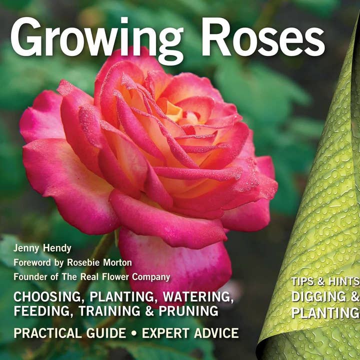 Texas Bookman - Wholesale Home & Garden - Growing Roses: Plan, Plant and Maintain