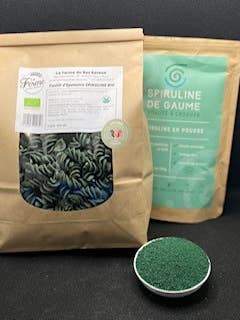Pasta di farro con SPIRULINA biologica — 500gr per la vendita all'ingrosso da parte di LA FERME DU BAS ROTEUX
