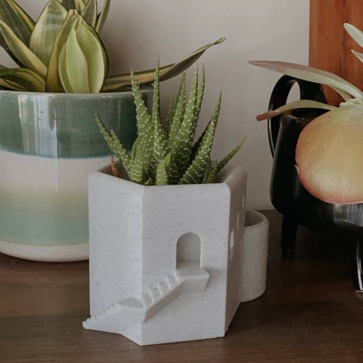 Peachy Pilea - Wholesale Plant Pot - Mini Santorini Succulent Planter | More Colors Available