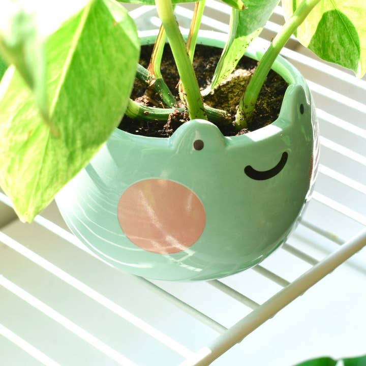 Shopzoki - Wholesale Plant Pot - Ebbo Frog Planter1