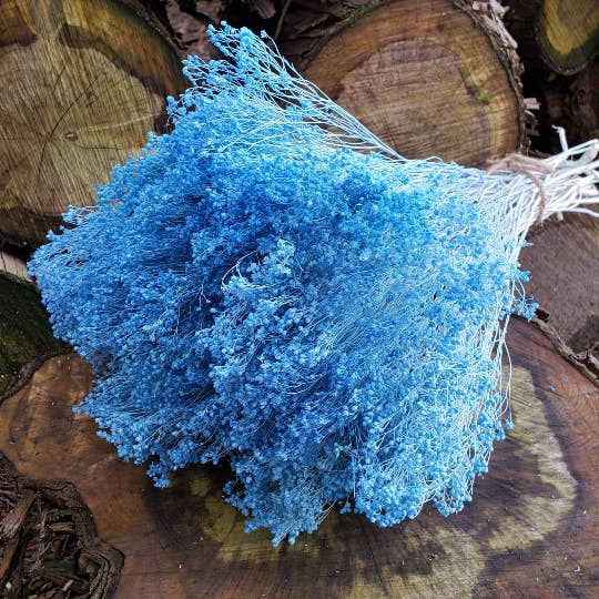 Flor de Gypsy Bloom seca (Alternativa de Aliento de Bebé) - 4oz Azul para venta al por mayor de BLOOMINGFUL.COM