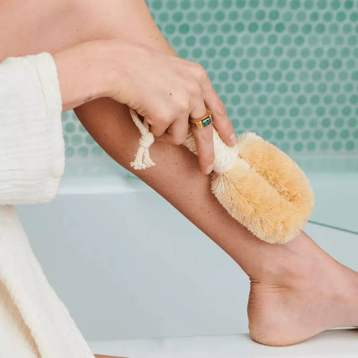 OWL Venice - Wholesale Body Brush - Dry Brush