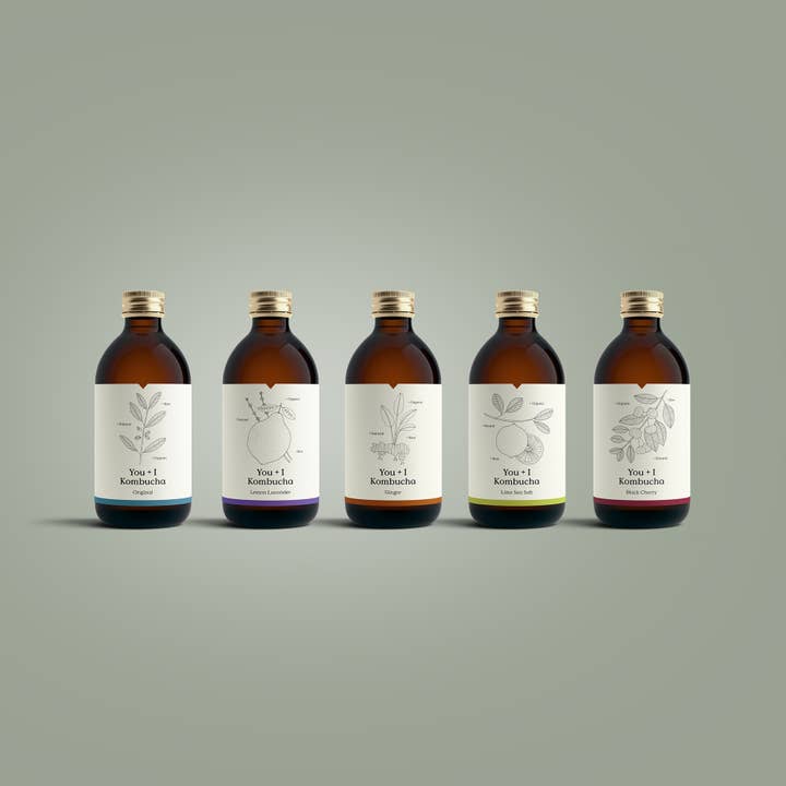 You + I - Wholesale Kombucha - Kombucha (12 x 330ml)