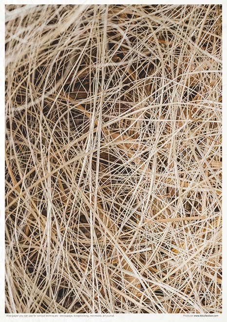 ITD Collection - Vente Matériels de bricolage - RP068 - Set créatif de papier de riz - 11 feuilles format A4 (21 x 29,7 cm)7