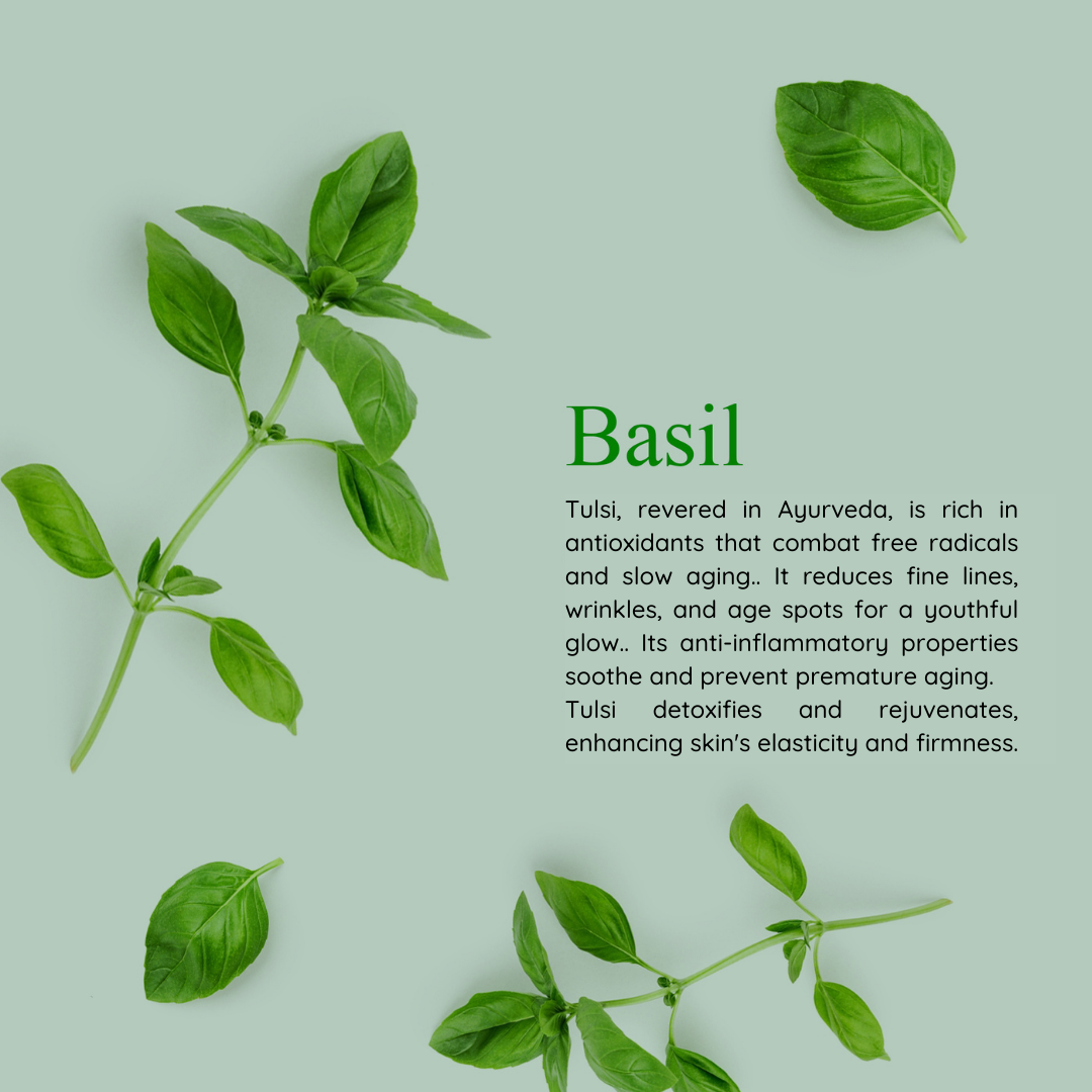 Pure Mitti - Wholesale Bar Soap - Holy Basil (Tulsi) Face & Body Bar4