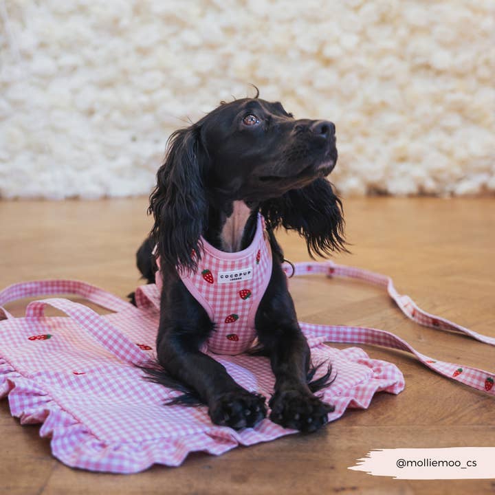 Cocopup London - Wholesale Pet Harness - Dog - Strawberry Picnic Pup Adjustable Neck HARNESS15