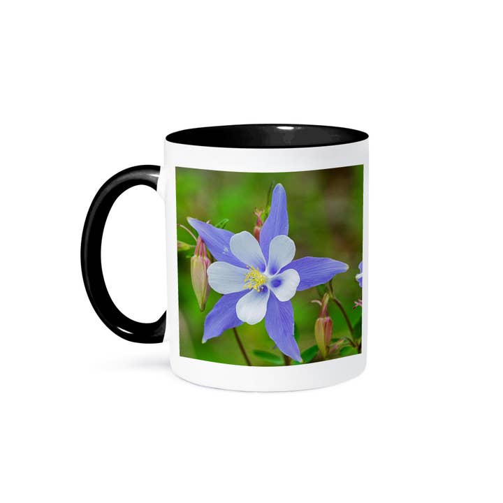 3dRose - Wholesale Coffee Mug - 3dRose, USA, Colorado, Rio Grande National Forest, Blue Columbine, Mug