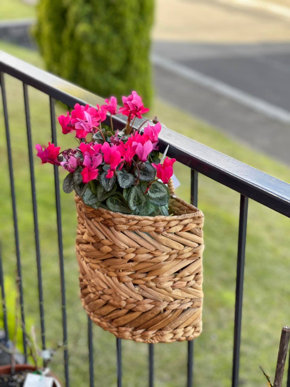 HAMI & CO - Wholesale Hanging Planter - HMW32 SWaterhyacinth Indoor hanging planter with1