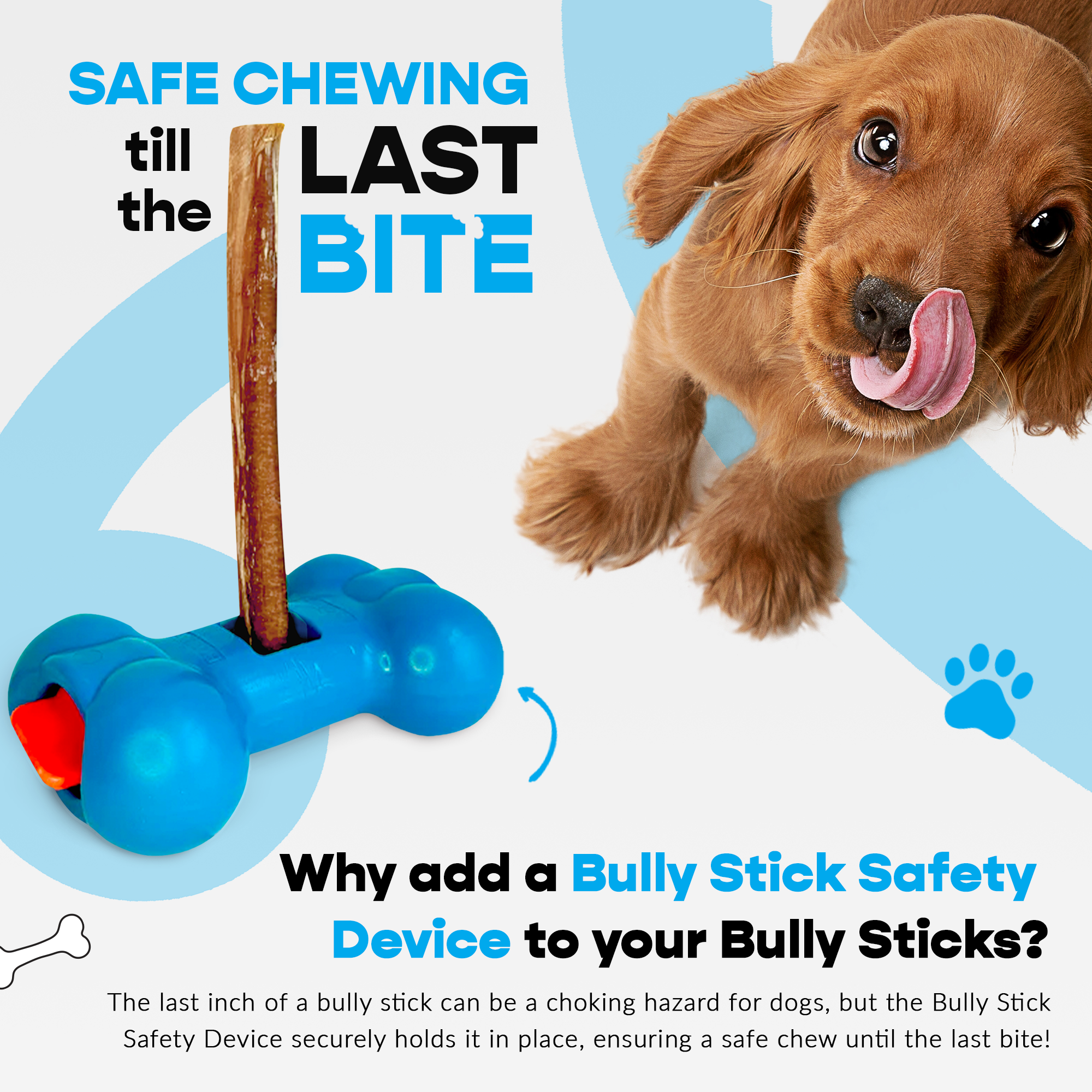 Mighty Chewz - Wholesale Pet Treats - Dog - 12" Jumbo Bully Sticks - Bully Bone Included5