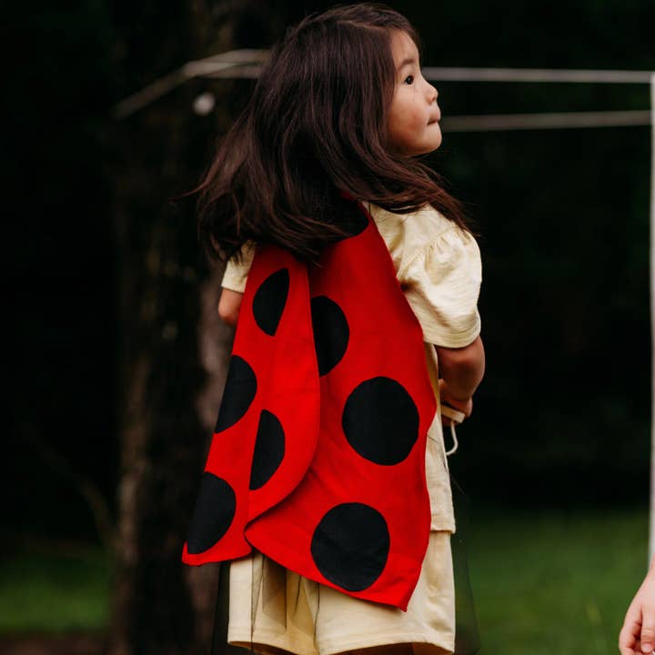 Jack Be Nimble – wholesale Costume – Child – Ladybug Costume Wings3