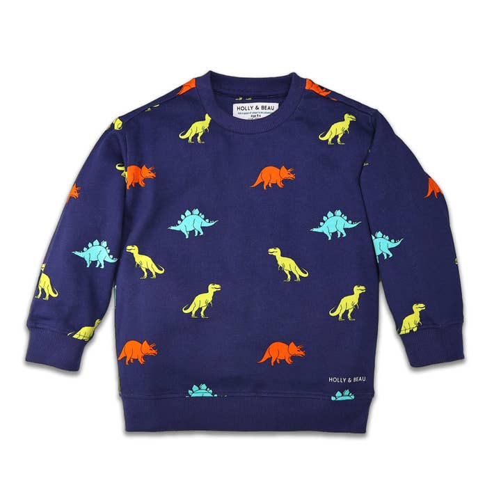 Sweatshirt voor kinderen van biologisch katoen met dinosaurusprint voor wholesale door Holly and Beau