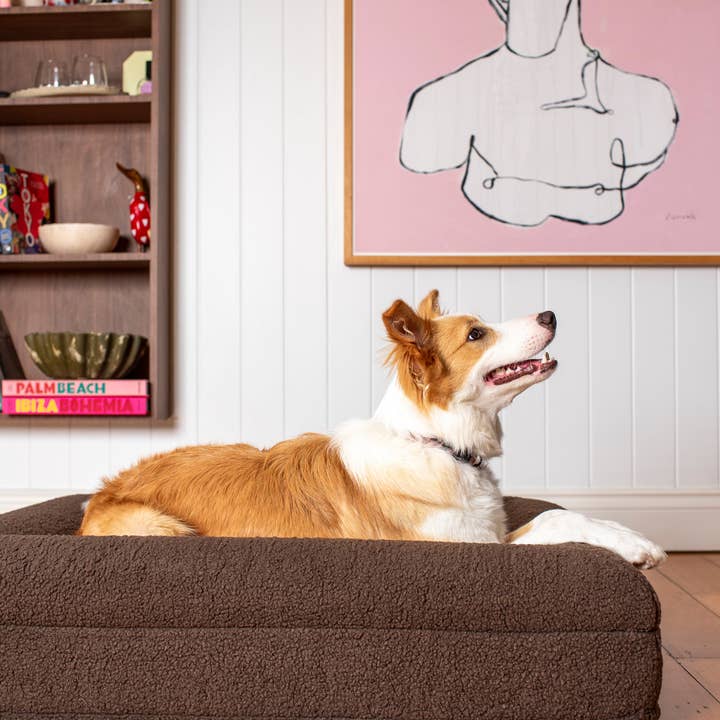 Ortopedisk hundbädd i memoryskum, teddy: Espresso för wholesale av Pablo & Co. Boutique