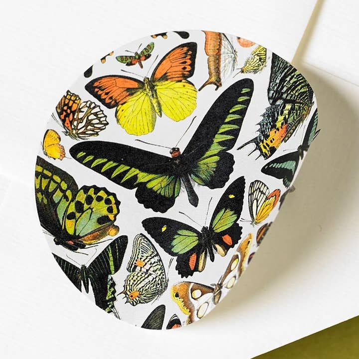 Natural History Label Sticker & Tape Book for wholesale by Pepin Press