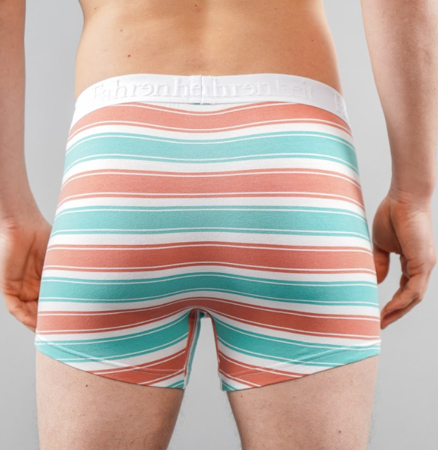 Fahrenheit – Roupa interior - Homem por atacado – Boxer Brief/Roupa interior masculina Coral & Green Stripe Algodão4