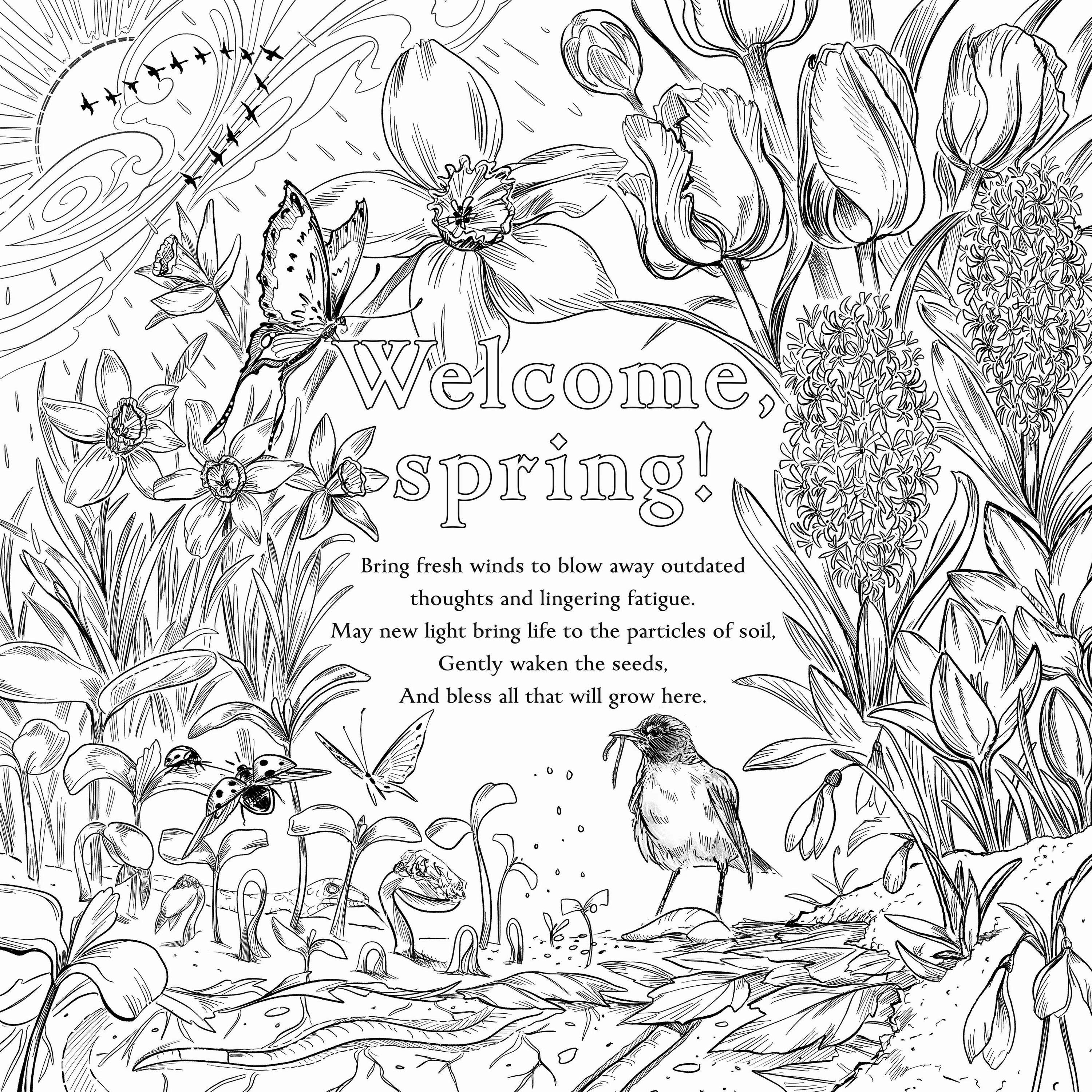 Simon & Schuster UK – wholesale Colouring and activity book – adult – Green Witch's Coloring Book4