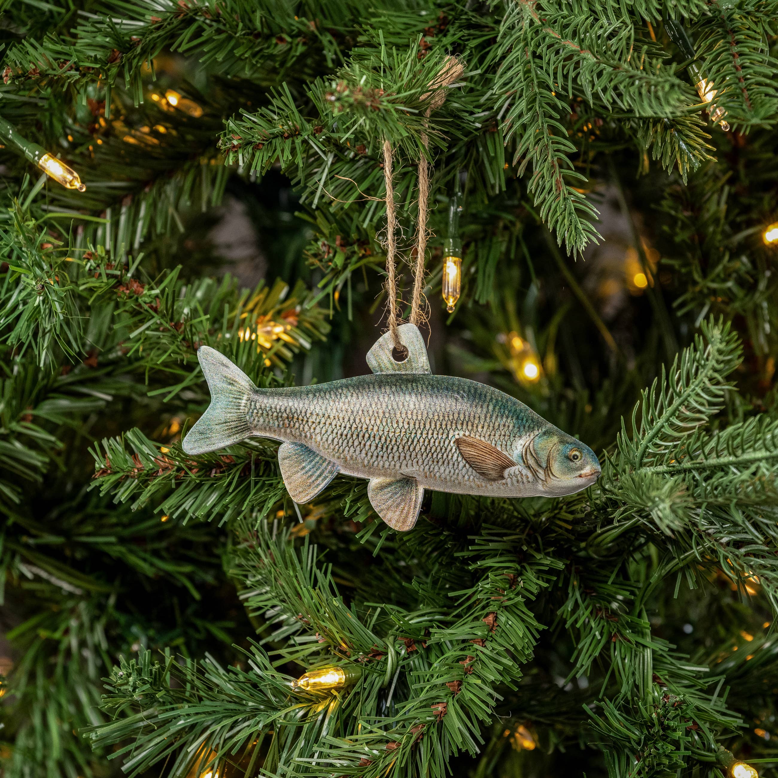 Ragon House - Wholesale Ornament - CHUB FISH ORNAMENT1