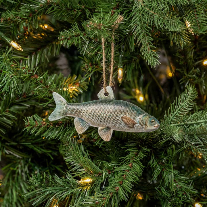 Ragon House - Wholesale Ornament - CHUB FISH ORNAMENT1