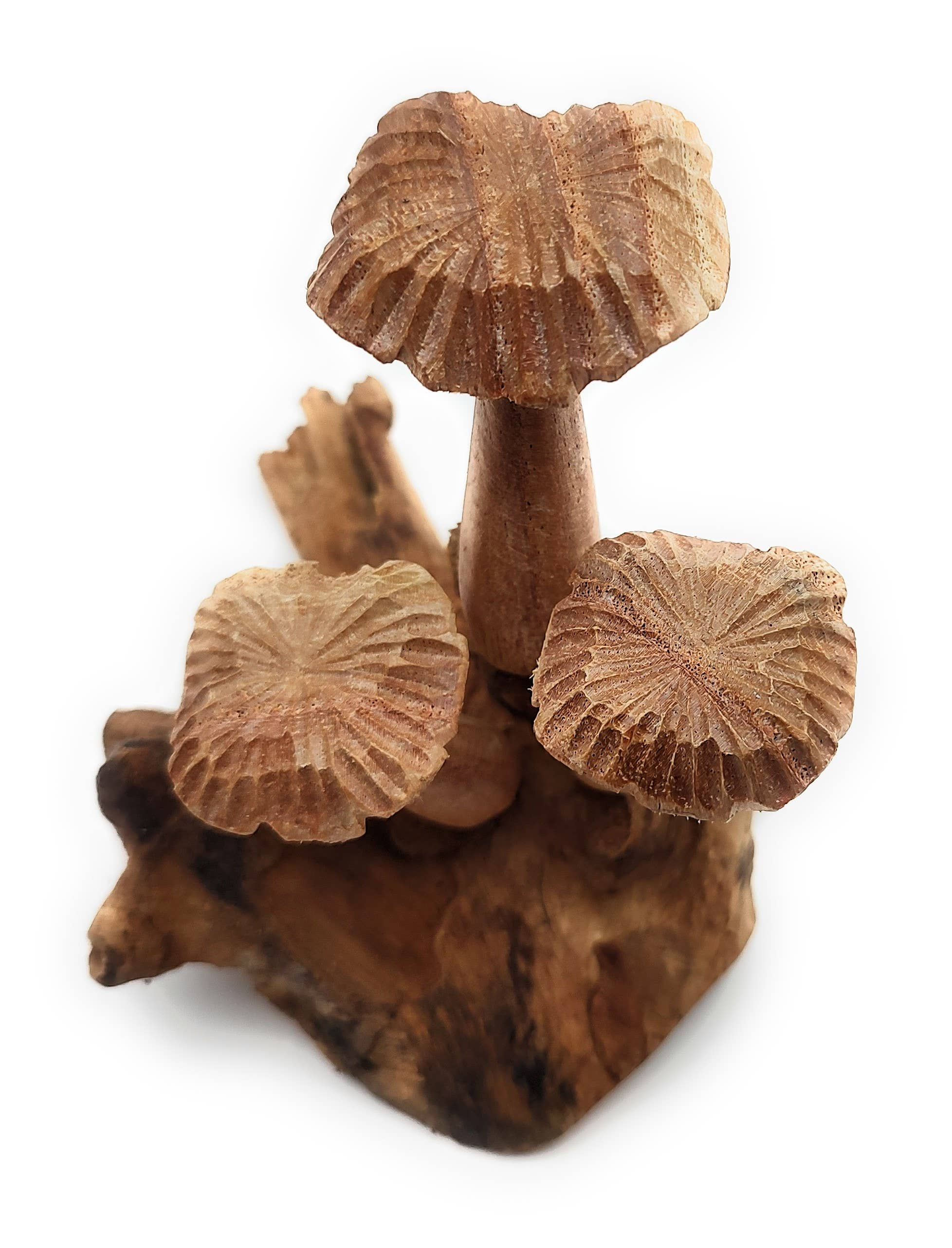 OTOP USA – Engroshandel Bordpynt – Blomstersvamp Lille1