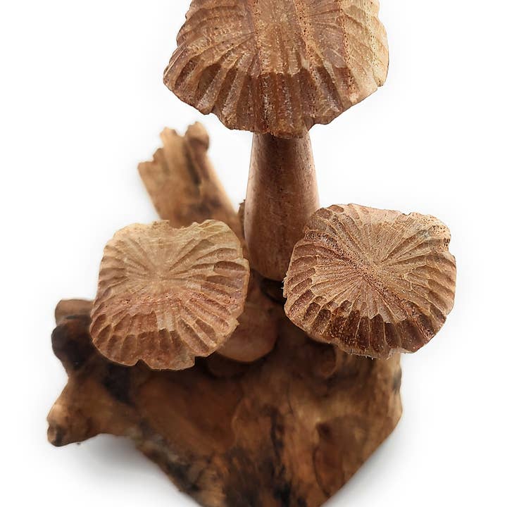 OTOP USA – Engroshandel Bordpynt – Blomstersvamp Lille1