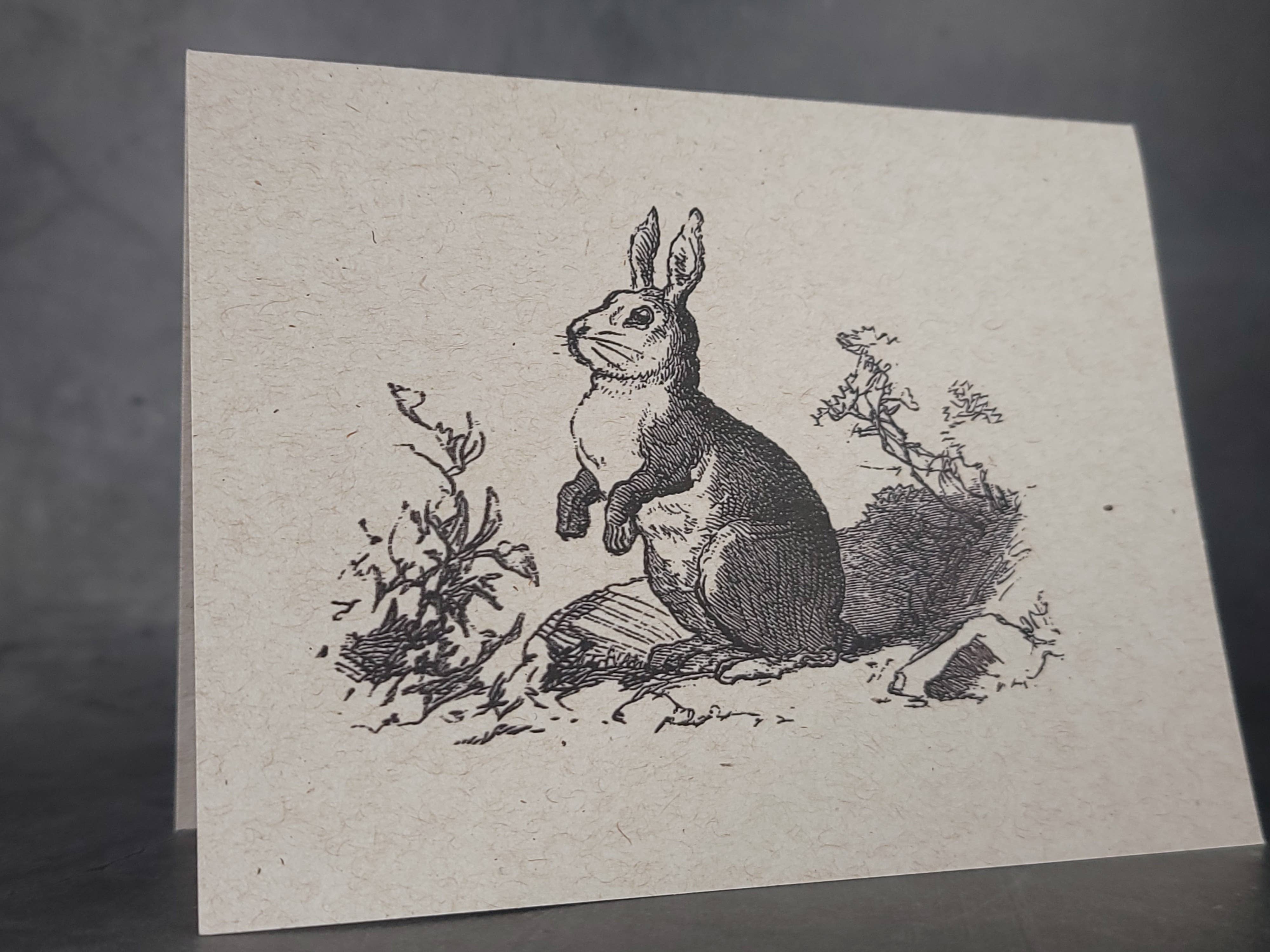 Superior Dry Goods - Wholesale Everyday Greeting Card - "Rabbits" Recycled Greeting Cards | Handcrafted1