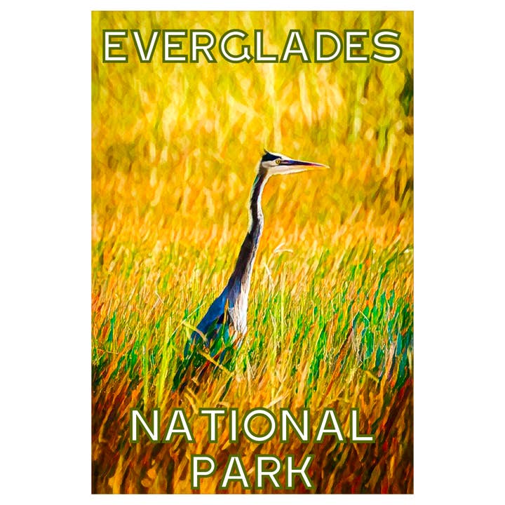 Everglades NP Heron Magnet for wholesale by PNW Departure