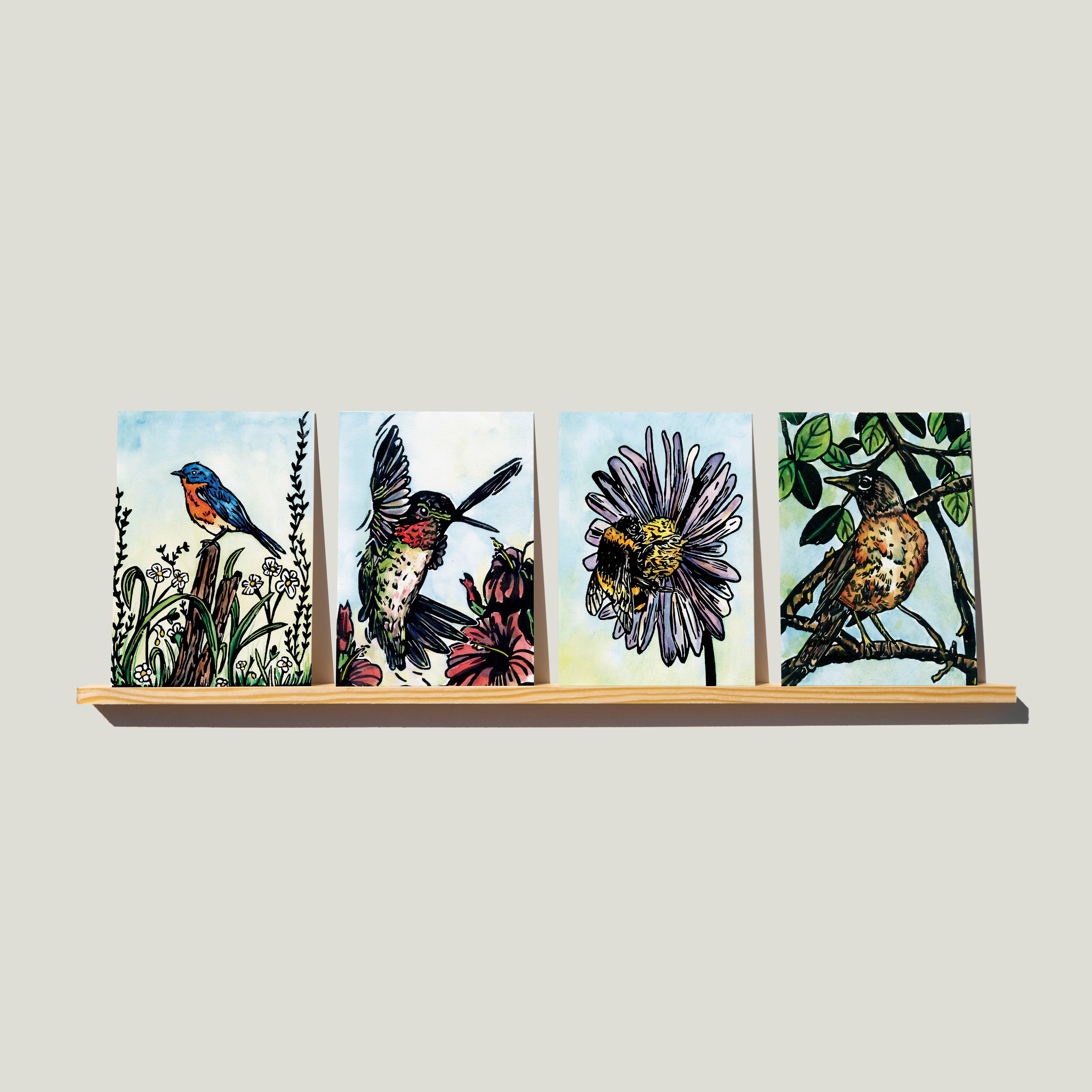 bclockerart - Wholesale Everyday Greeting Card - Greeting Cards of nature, birds, and wildlife.2