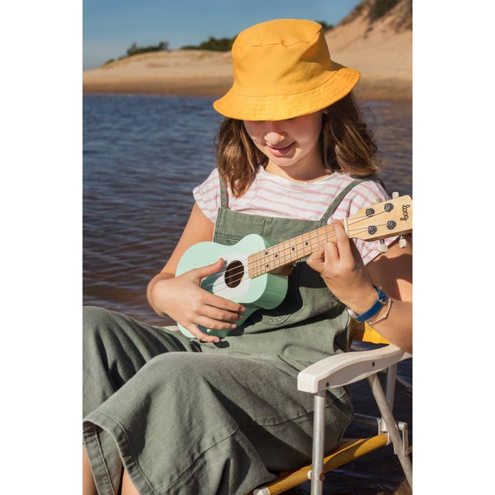 Loog Guitars Wholesale - Wholesale Music Accessory - Loog Ukulele7