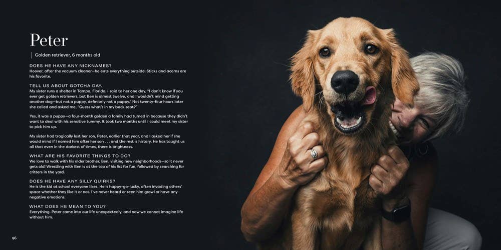 Gibbs Smith - Wholesale Pet  Book - Gotcha Day3