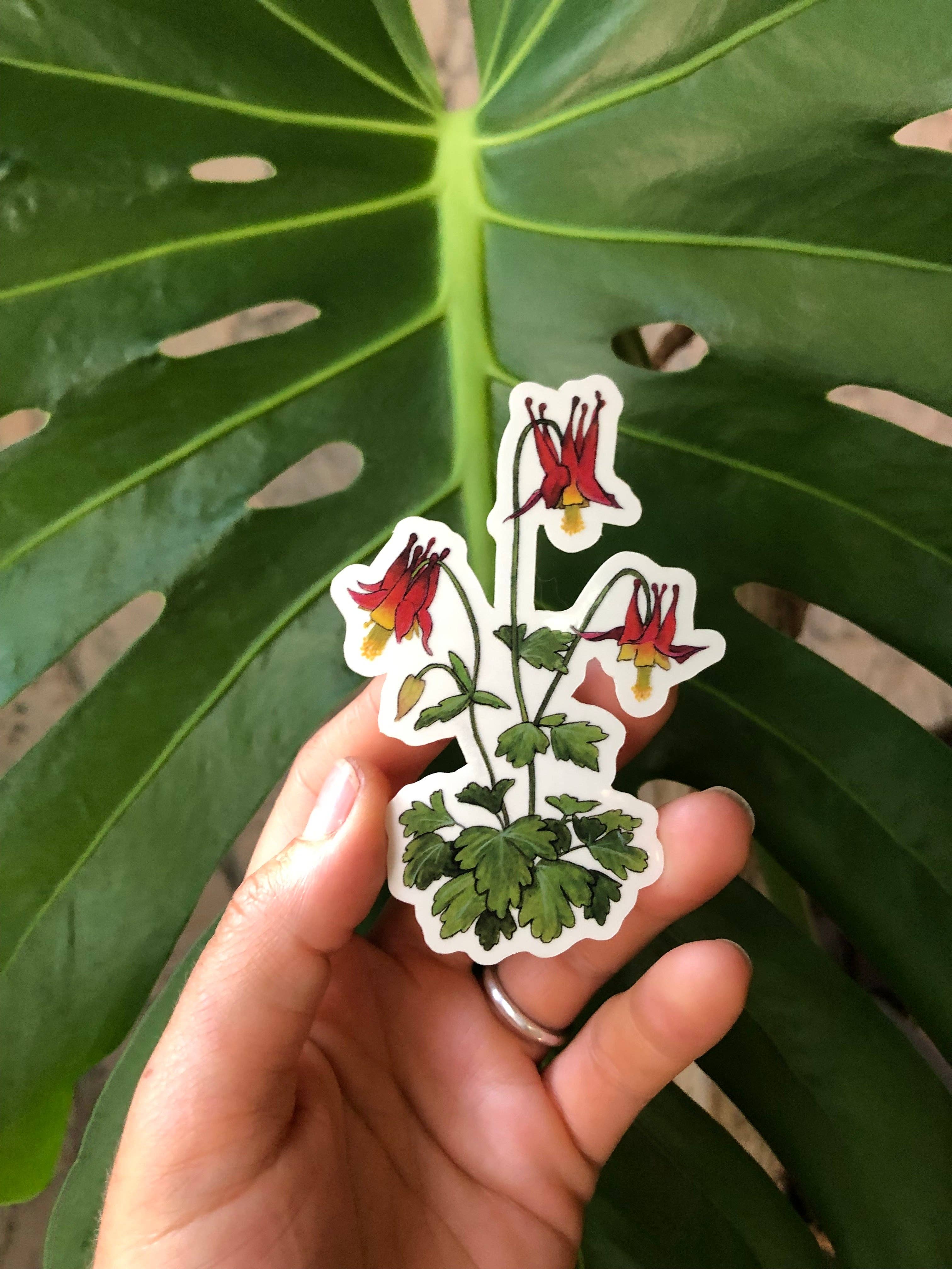 YubaCat Designs - Wholesale Sticker - Red Columbine sticker1