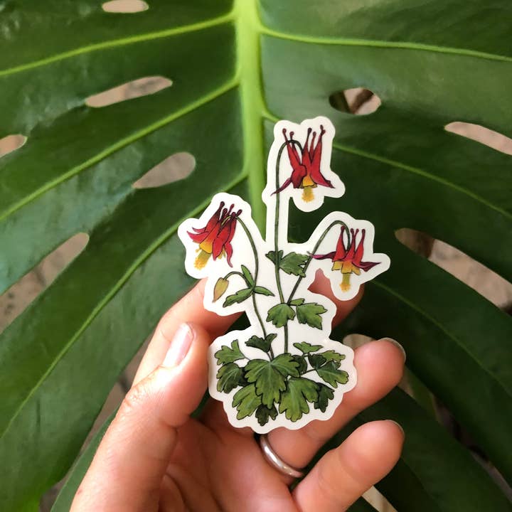 YubaCat Designs - Wholesale Sticker - Red Columbine sticker1