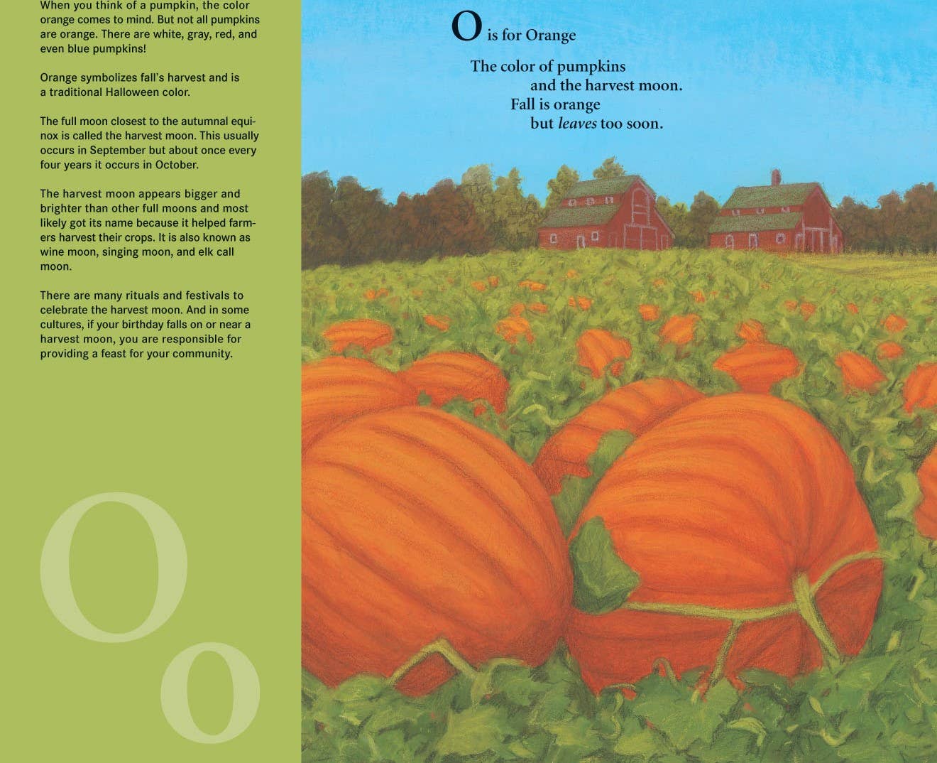 Sleeping Bear Press - Wholesale Preschool Book (3-5) - J is for Jack-O-Lantern: A Halloween Alphabet Picture Book6