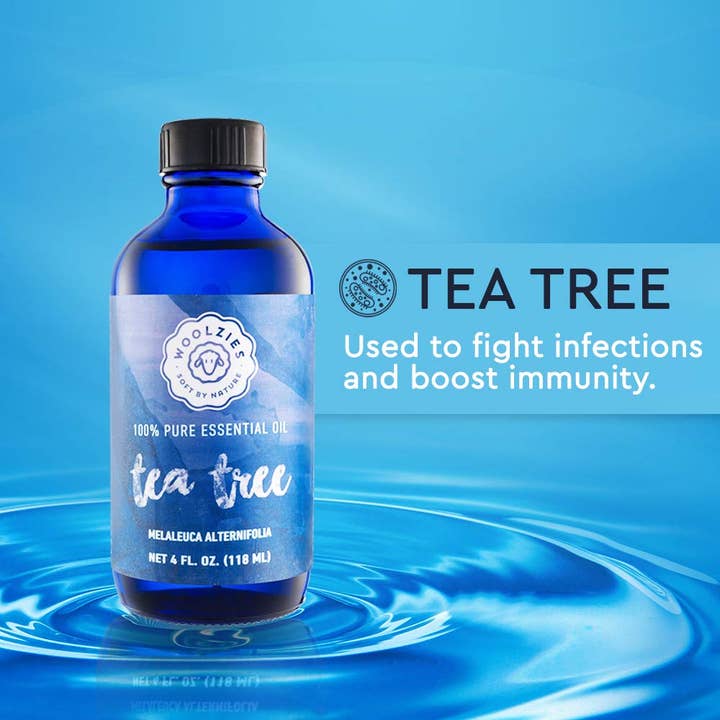 Woolzies - Wholesale Essential Oil - Tea Tree Essential Oil7