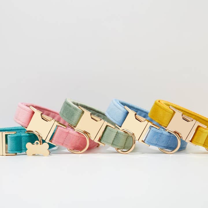 BOBOPUP - Wholesale Pet collar – Dog - Personalized Dog Collar Leash Set with Engraved Name (Copy)6