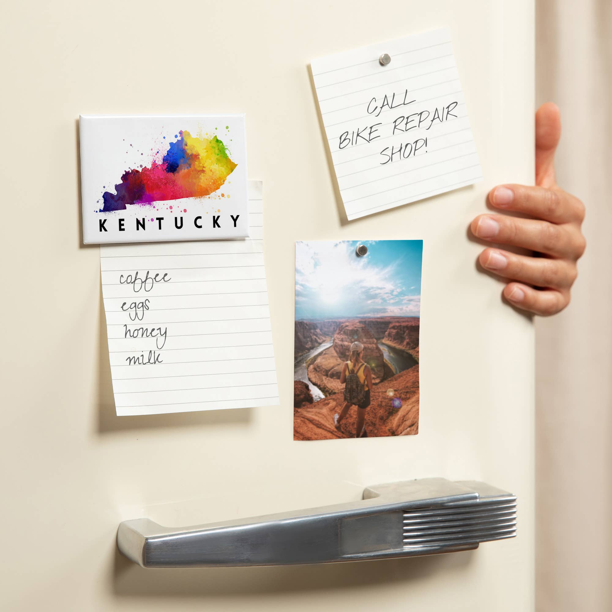 Lantern Press - Vendita all'ingrosso Calamite - MAGNET Kentucky, State Watercolor1