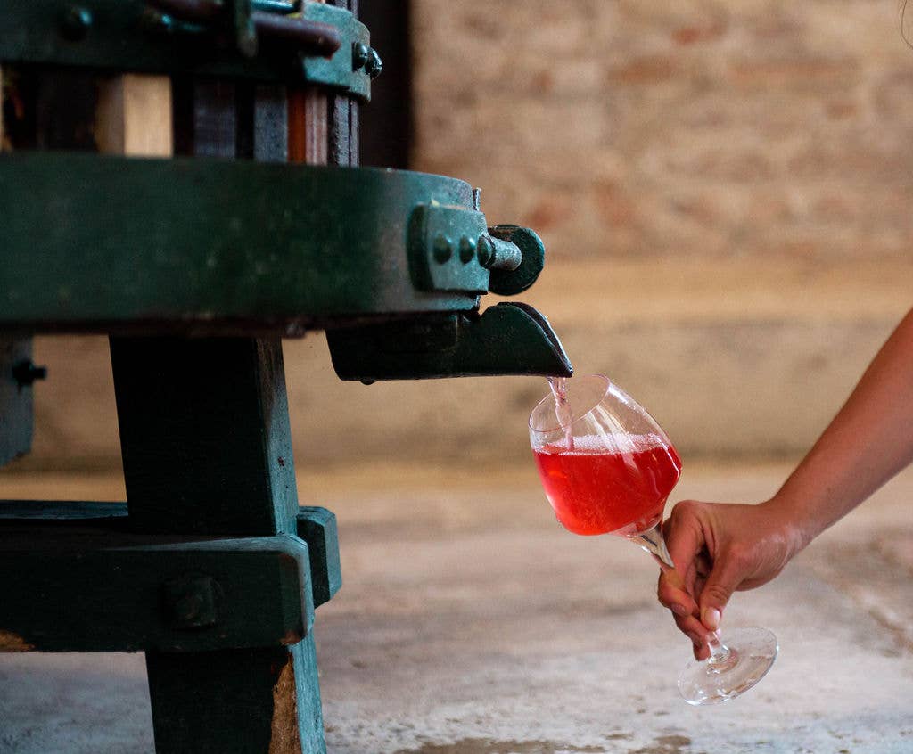 COUR RHEOUM - Wholesale Non-Alcoholic Aperitif/Mocktail - Rhubarb fervor5