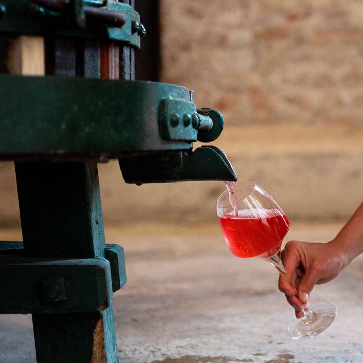 COUR RHEOUM - Wholesale Non-Alcoholic Aperitif/Mocktail - Rhubarb fervor5